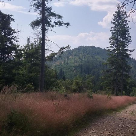 Pod Klimczokiem I Panzió Szczyrk Kültér fotó
