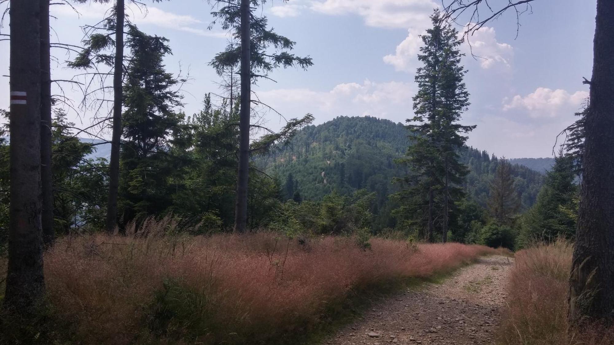 Pod Klimczokiem I Panzió Szczyrk Kültér fotó