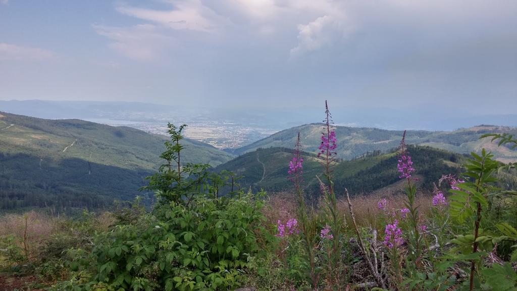 Pod Klimczokiem I Panzió Szczyrk Kültér fotó