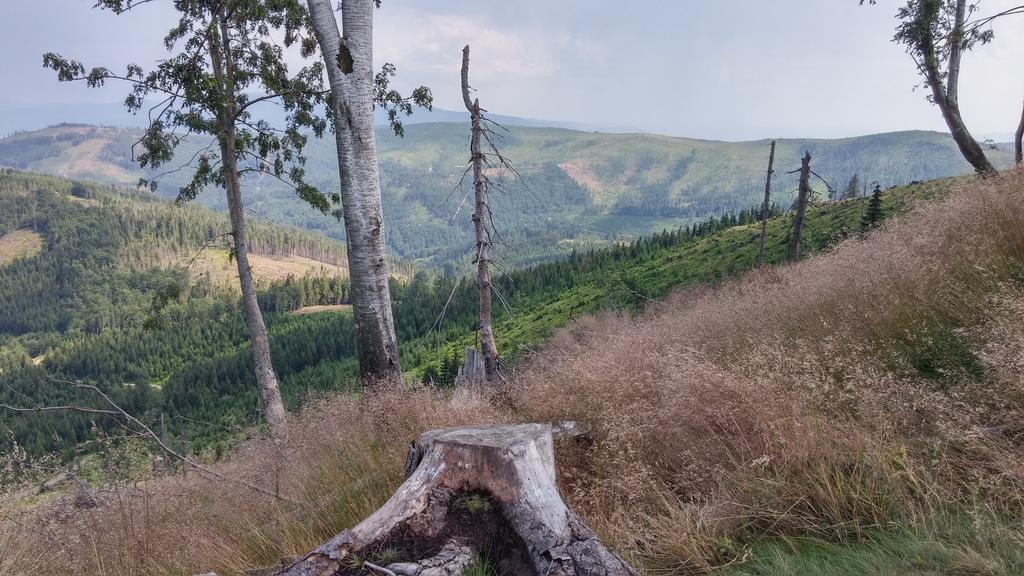 Pod Klimczokiem I Panzió Szczyrk Kültér fotó