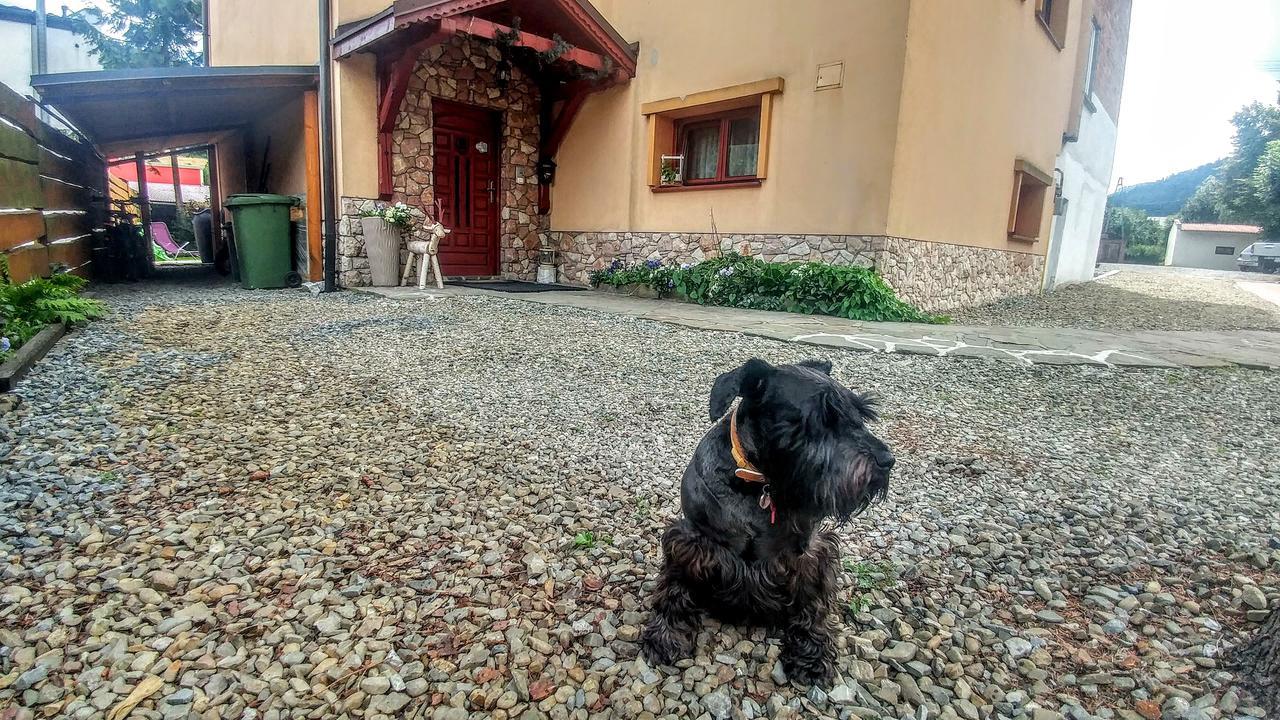 Pod Klimczokiem I Panzió Szczyrk Kültér fotó